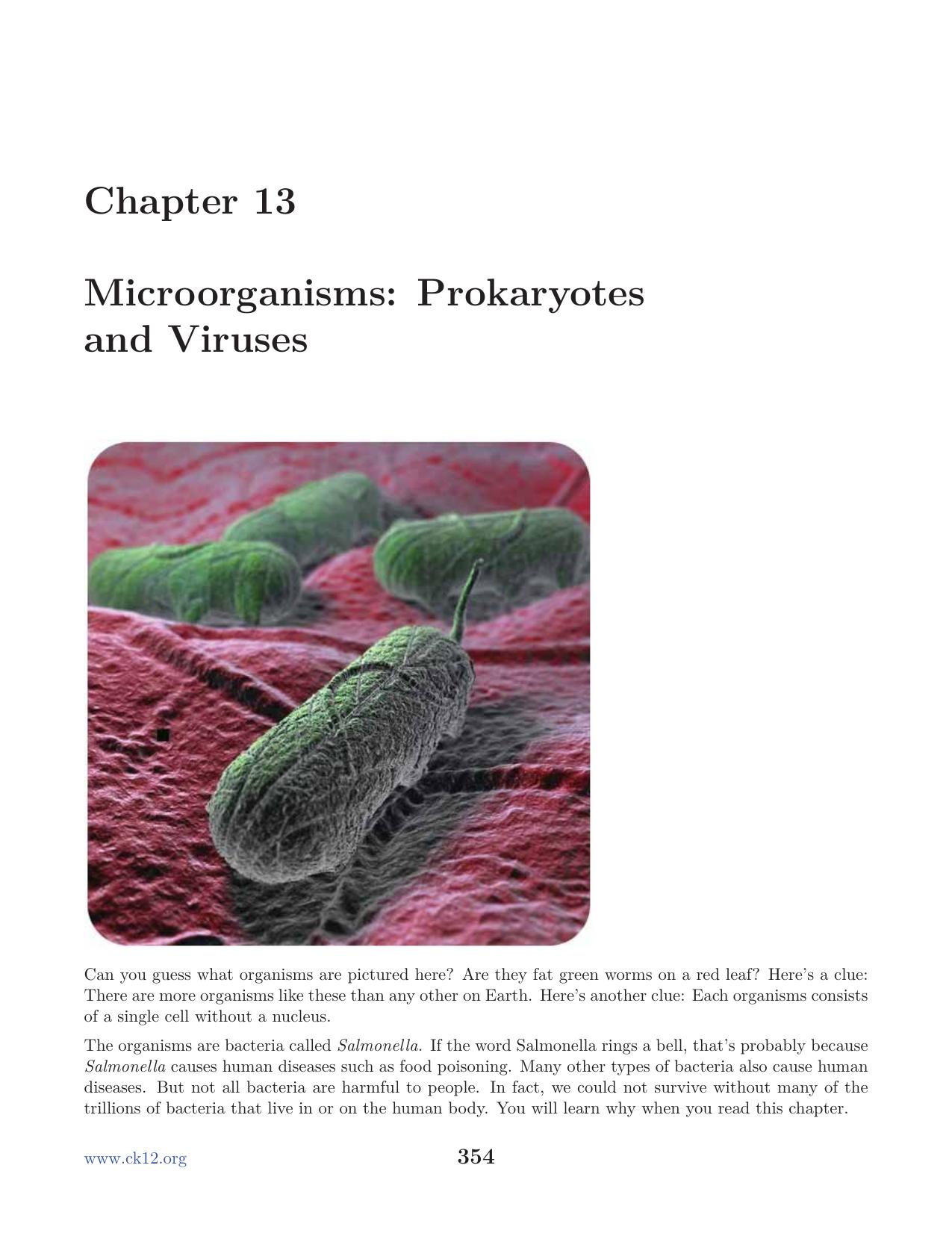 Biology Chapter13